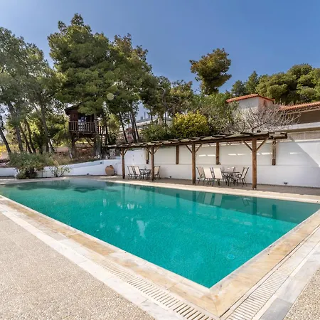 The House Of Gratitude - Poolside Retreat